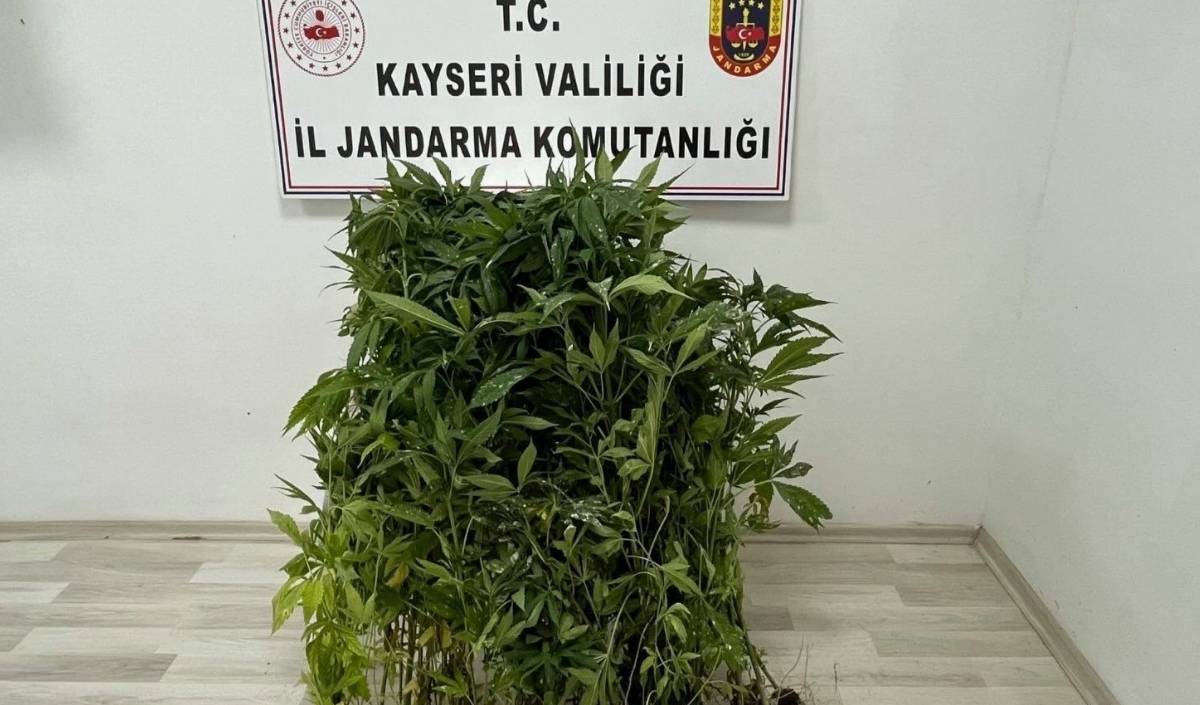 Uyuşturucu Operasyonu (3)