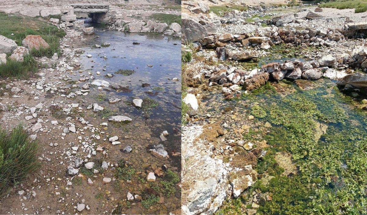 Zamantı Irmağı Kurudu (1)