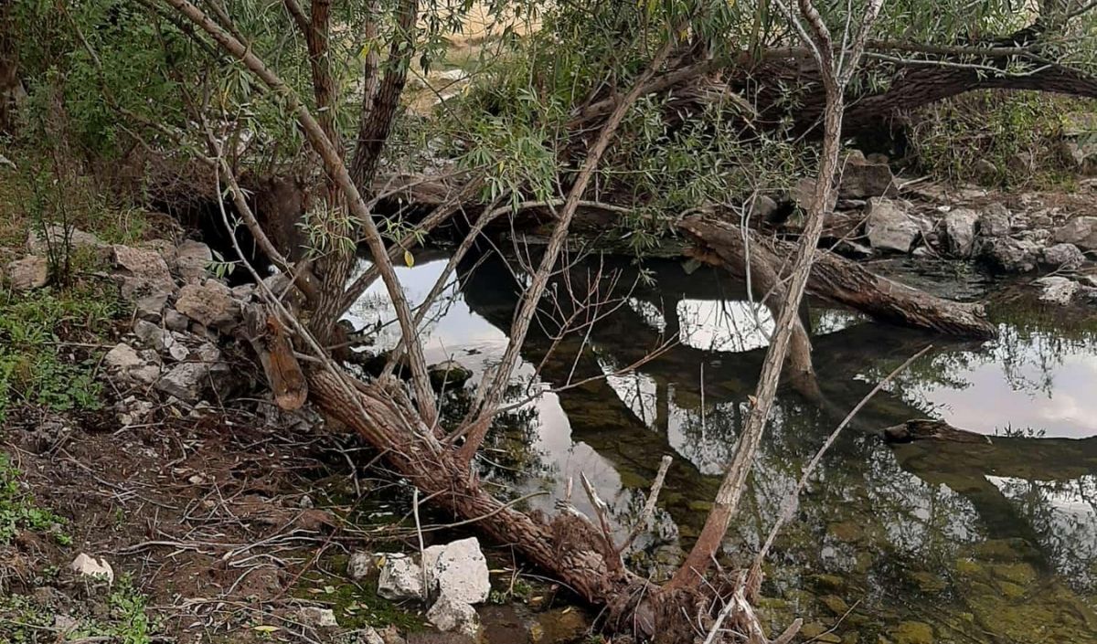 Zamantı Irmağı Kurudu (2)