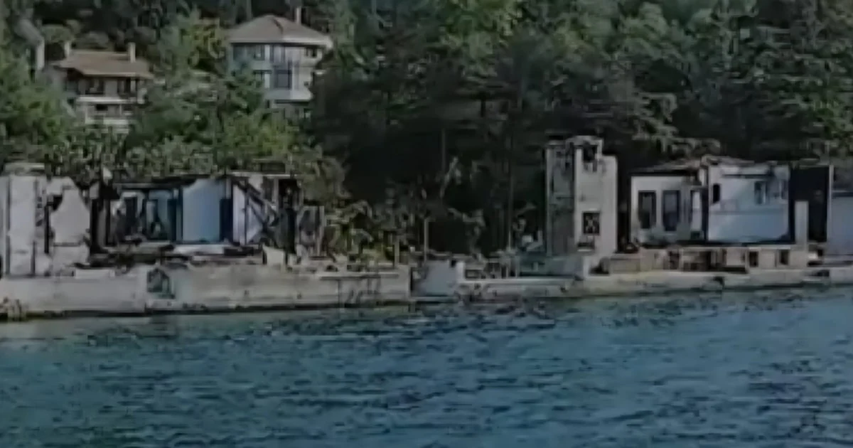 çöl kaplanı
