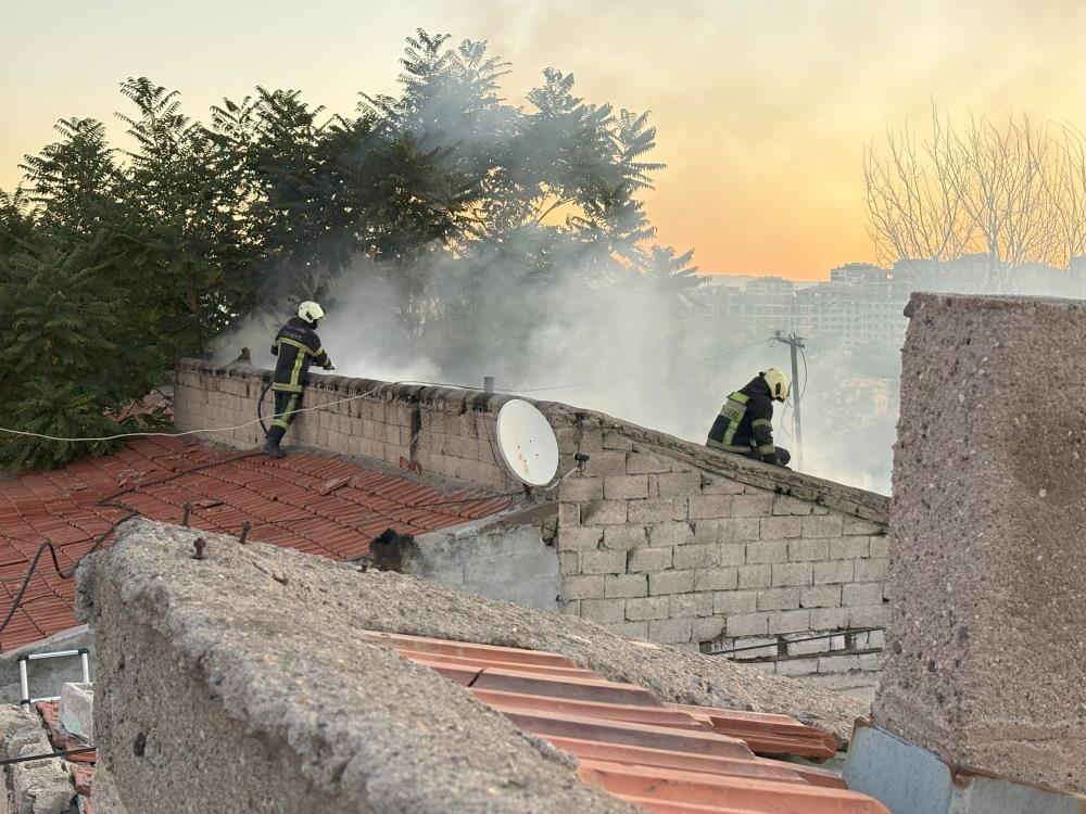 Anneanne Torunlarını Kurtardı (3)