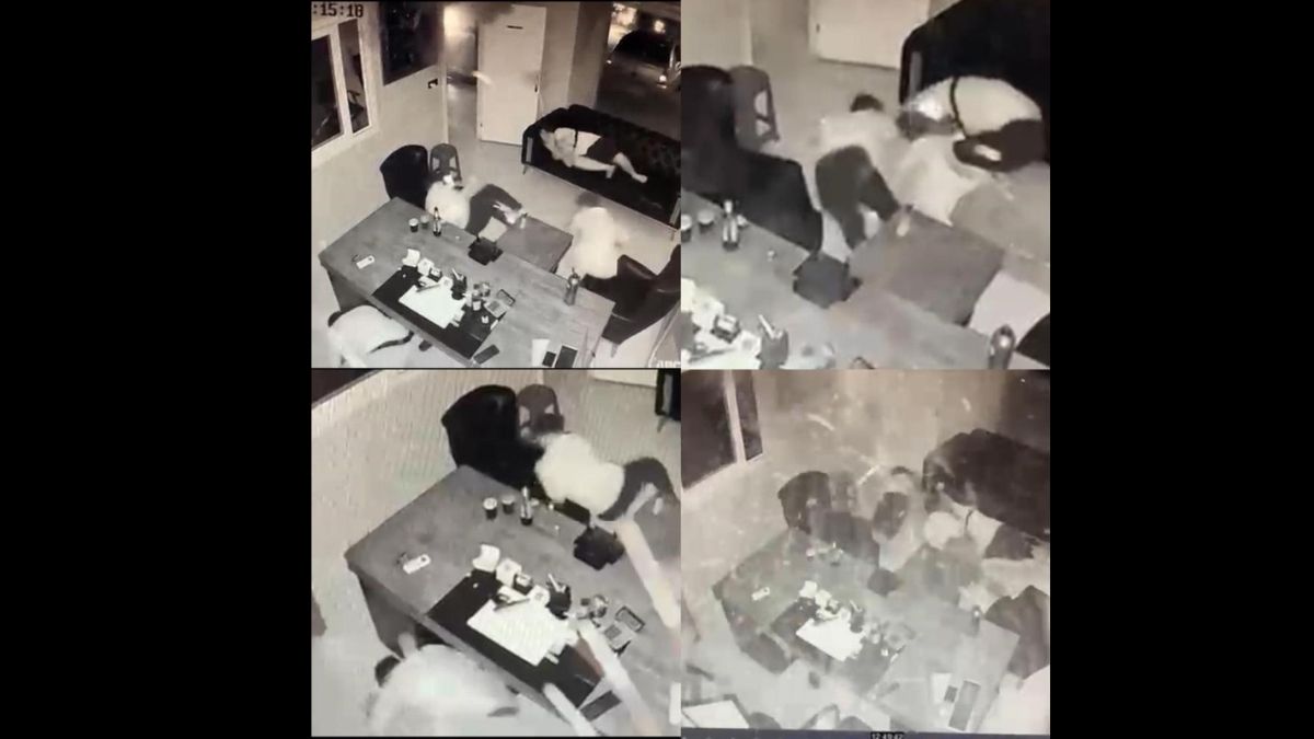 Galeriyi 2 Tetikçi Kurşunladı (1)