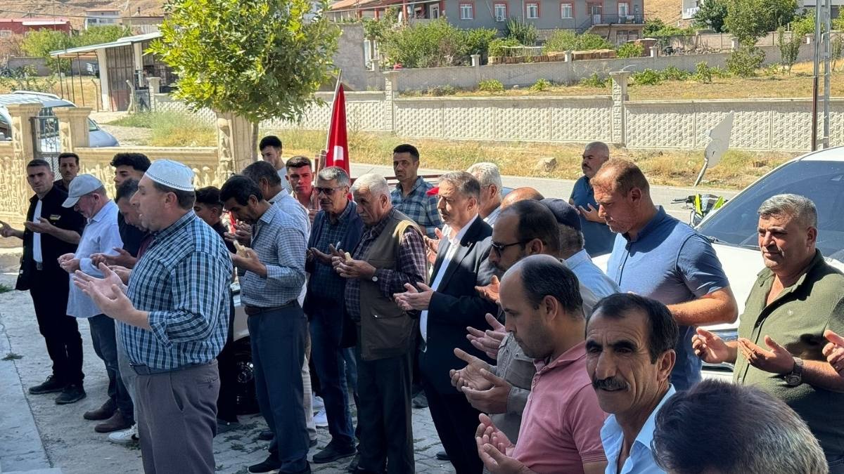 Halit Taşyapan (5)