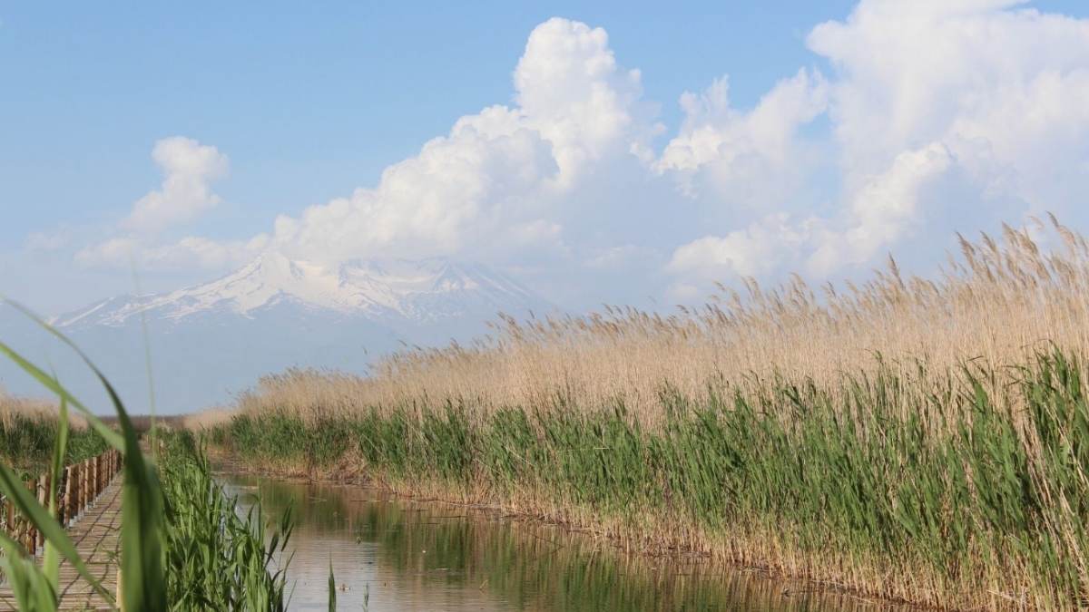 yeşilhisar kuş cenneti