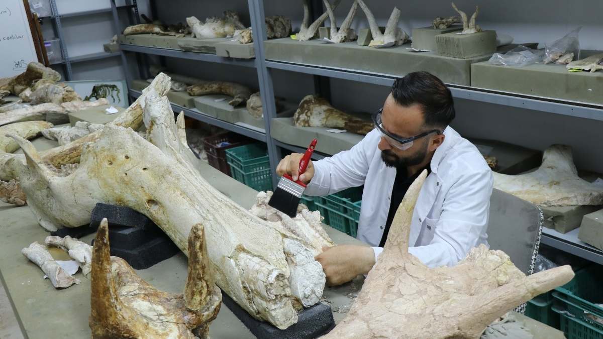kayseride bulunan kafatası