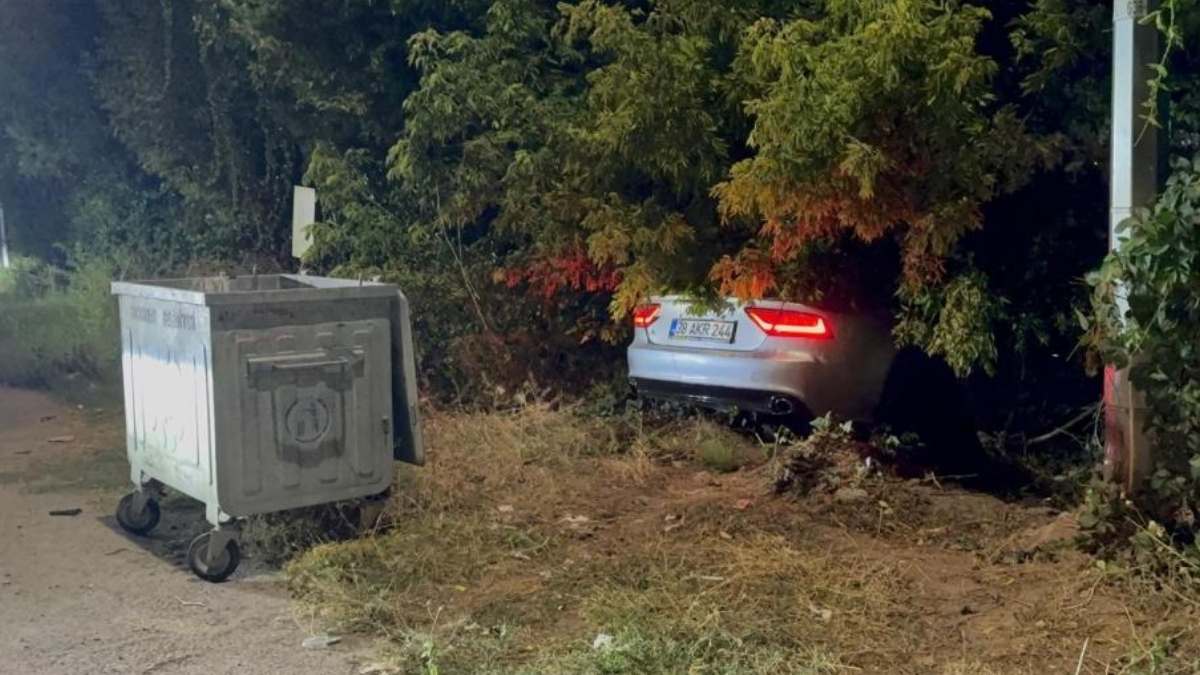Alkollü sürücü fidanlığa daldı