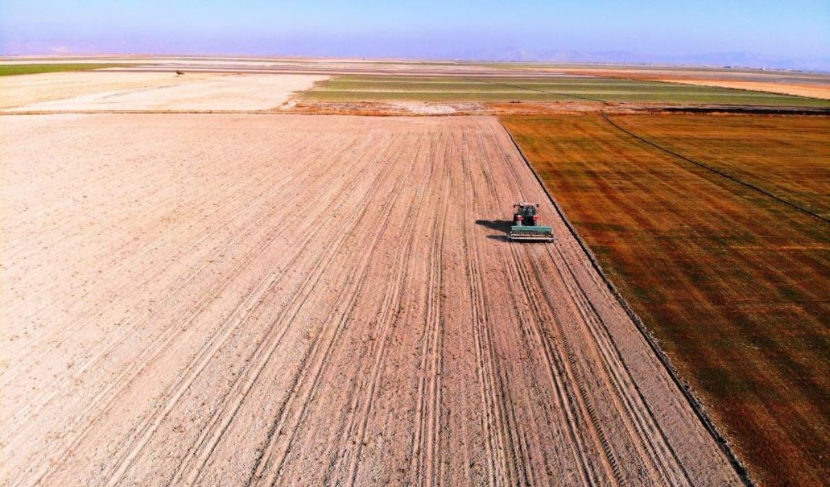 Kayseri Tarımında Dolandırıcılık Uyarısı! Arsa Satışı Tuzakları (3)