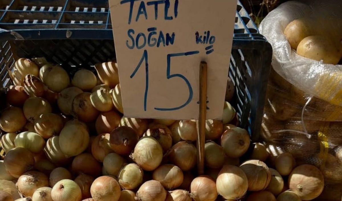 Güler Sabancı