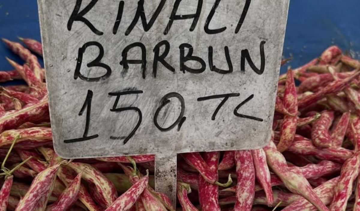 Güler Sabancı