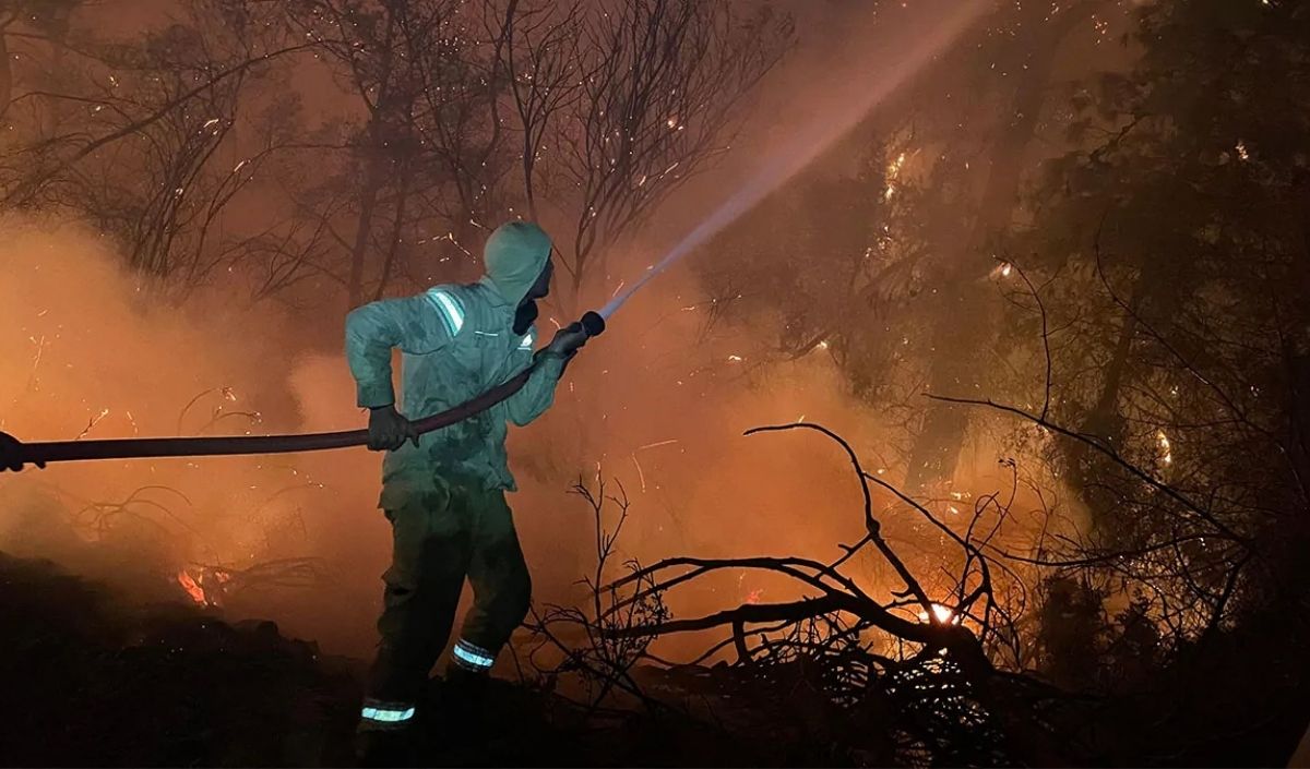 Muğla’da Aynı Gece 7 Ayrı Yerde Yangın Çıktı (3)