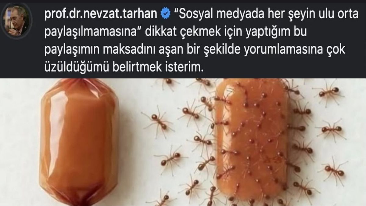 Rektör Tarhan (3)