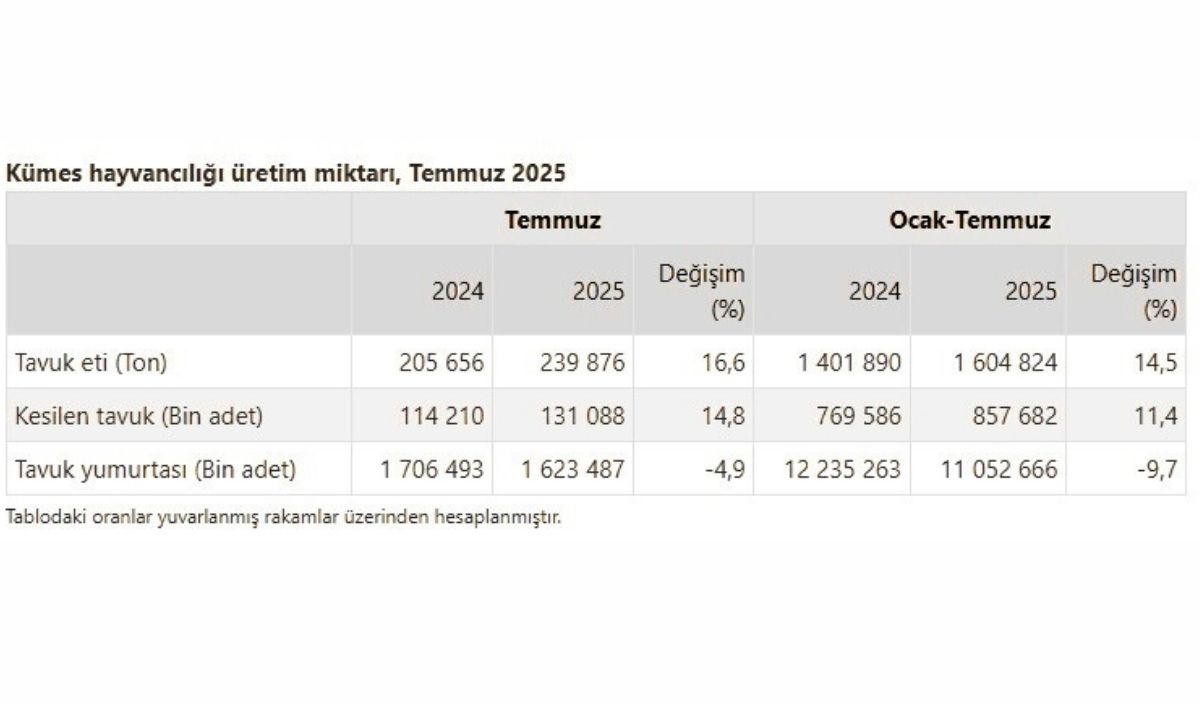 Tavuk Eti Üretimi Temmuz’da %16,6 Arttı (2)