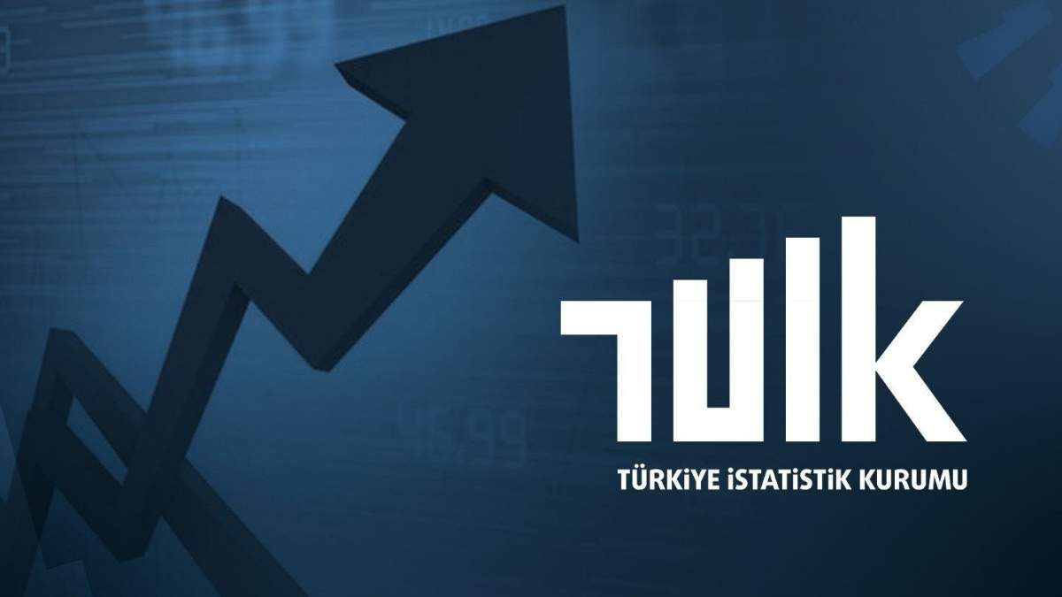 Tüik Verileri6789