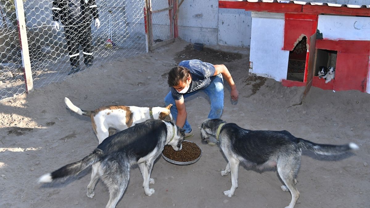Buyukkilic Sokak Hayvanlari Gunu (4)