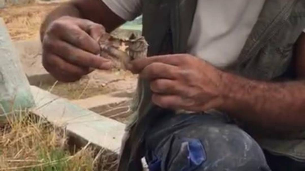 Diyarbakır'da Mezarda Kefene Sarılmış Oyuncak Bebek Bulundu!2
