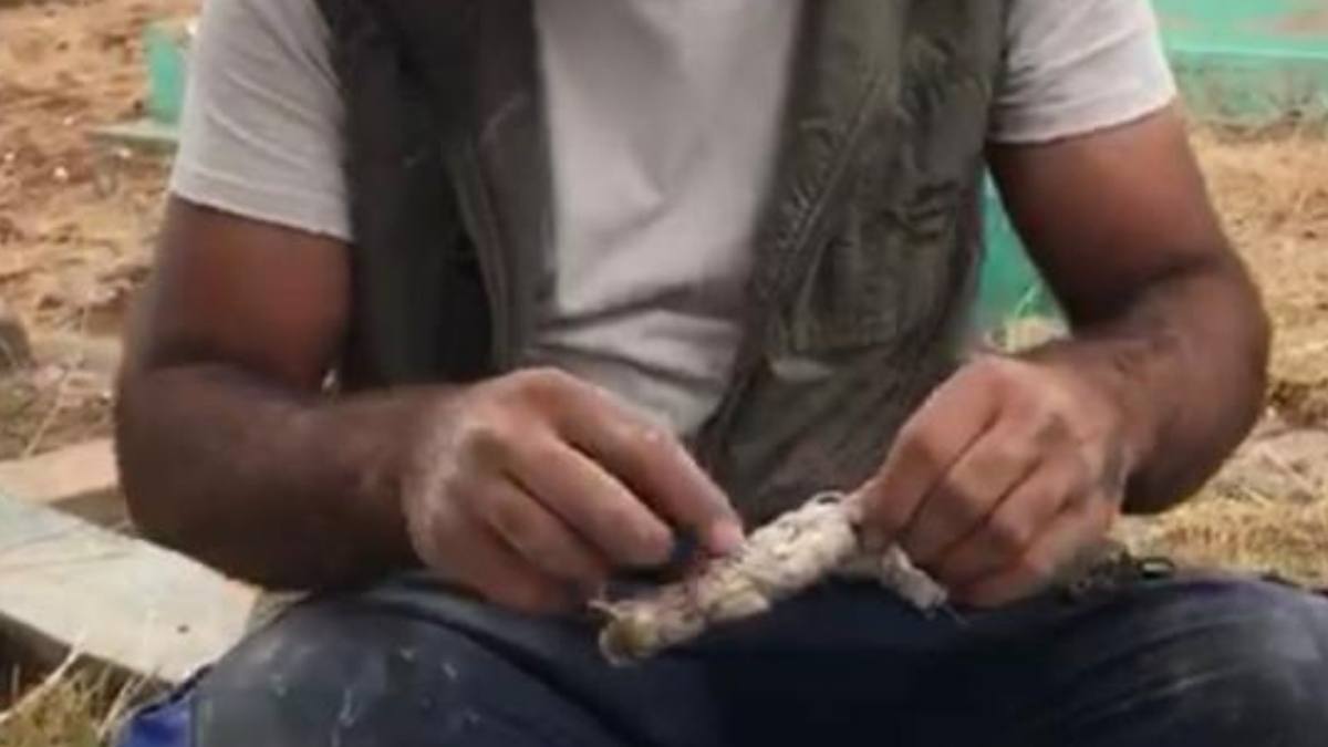Diyarbakır'da Mezarda Kefene Sarılmış Oyuncak Bebek Bulundu!3