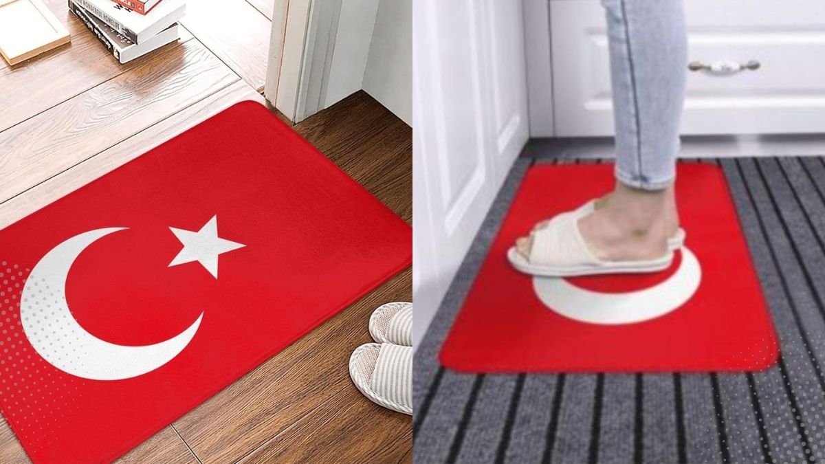 Fransadan Turk Bayragina Sagisizlik (3)