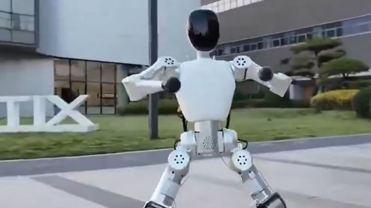 Insansı Robot Bumi (3)
