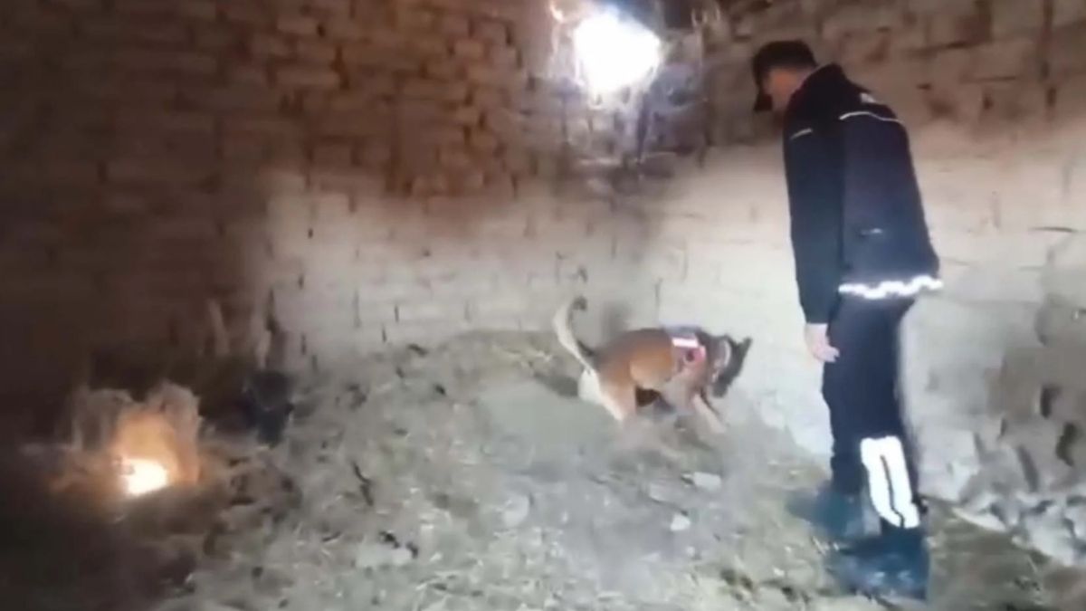 Kardeşini Öldüren Adam Eskişehir (2)