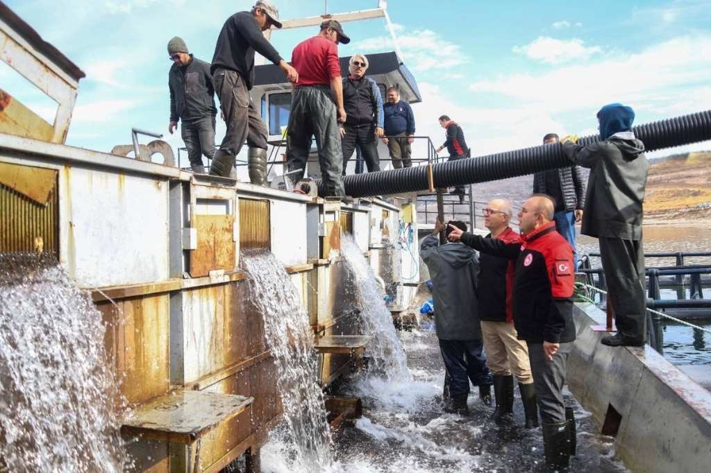 Kayseri̇ Türk Somonu Hasadi (1)