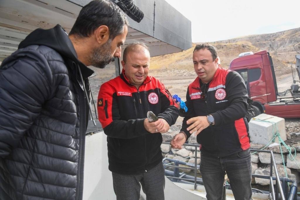 Kayseri̇ Türk Somonu Hasadi