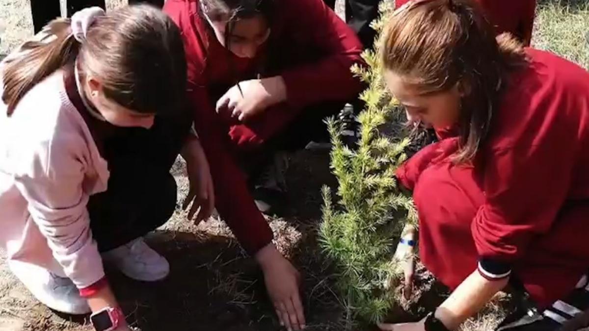 Kayseri Yesil Vatan Nurettin Ozturk