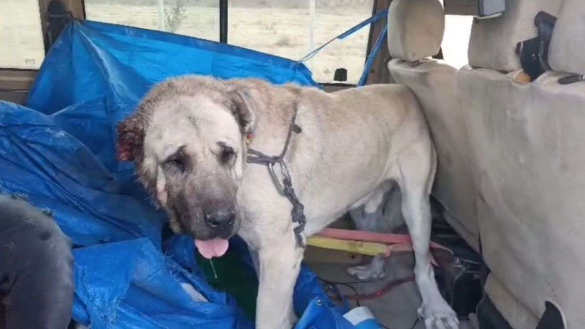 Kayseride Yaşanan Zulme Vali Gökmen Çiçek Sessiz Kalmadı (1)