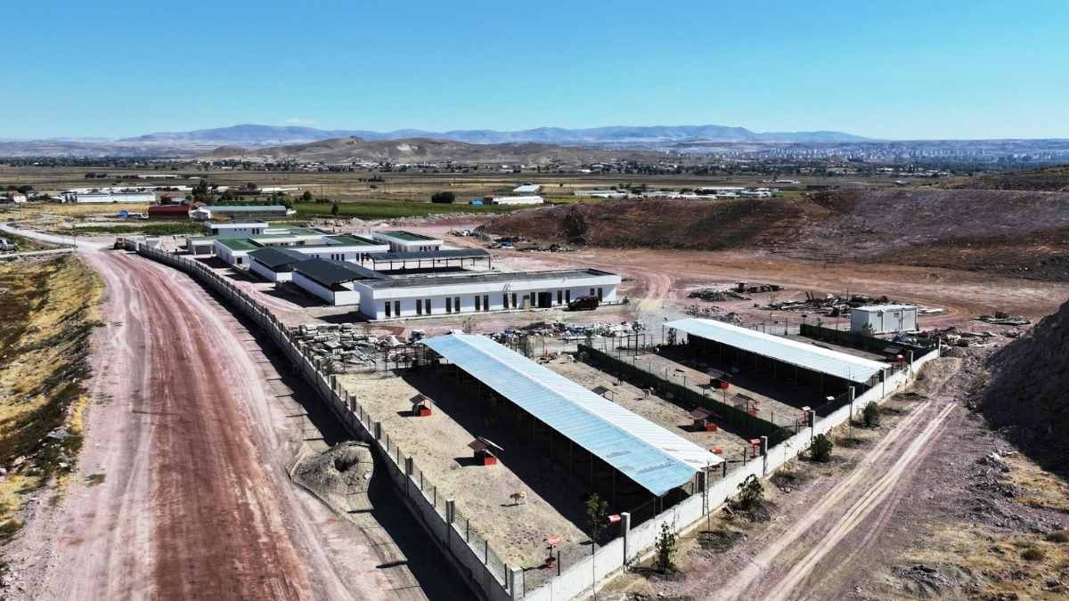 Kocasinan Belediyesi’nden Sokak Hayvanlarına Beş Yıldızlı Yaşam Alanı9