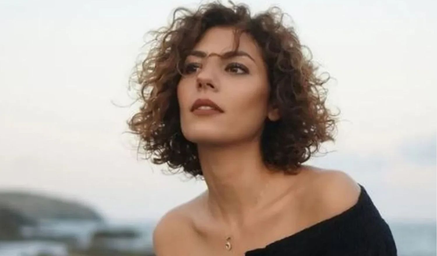 kızılcık  şerbeti