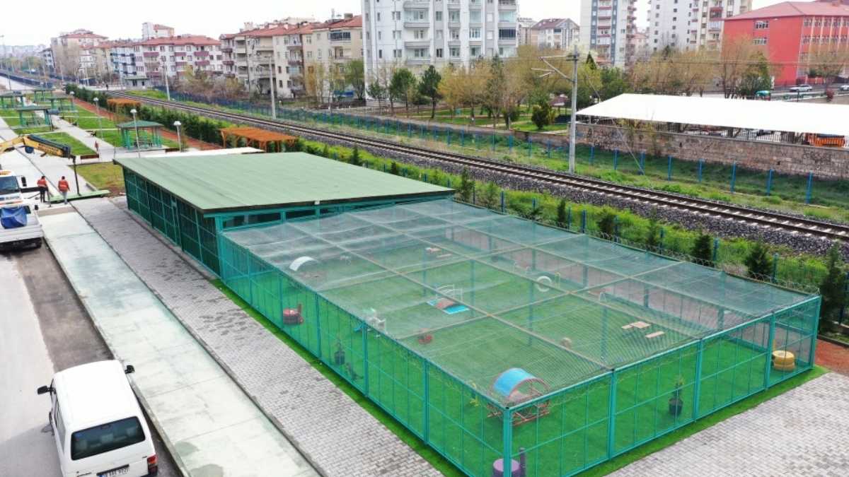 Kucuk Dostlar Kedi Kasabasi Kocasinan