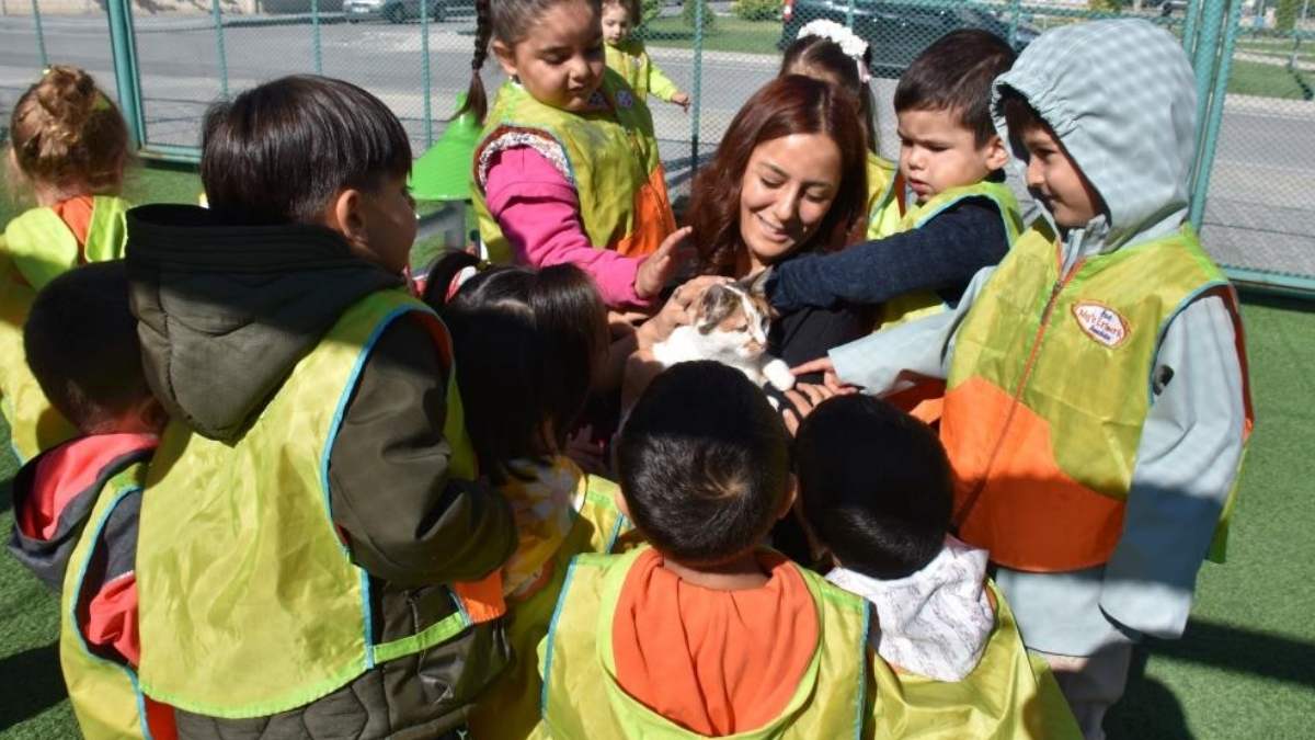 Kucuk Dostlar Kedi Kasabasi Kocasinan3