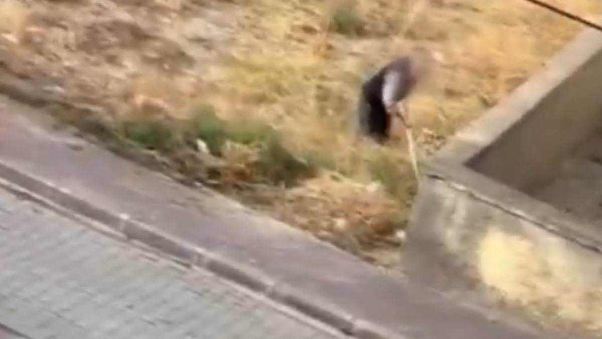 Kürekle Öldüresiye Vurdu Çığlıkları Mahalleyi Inletti!3