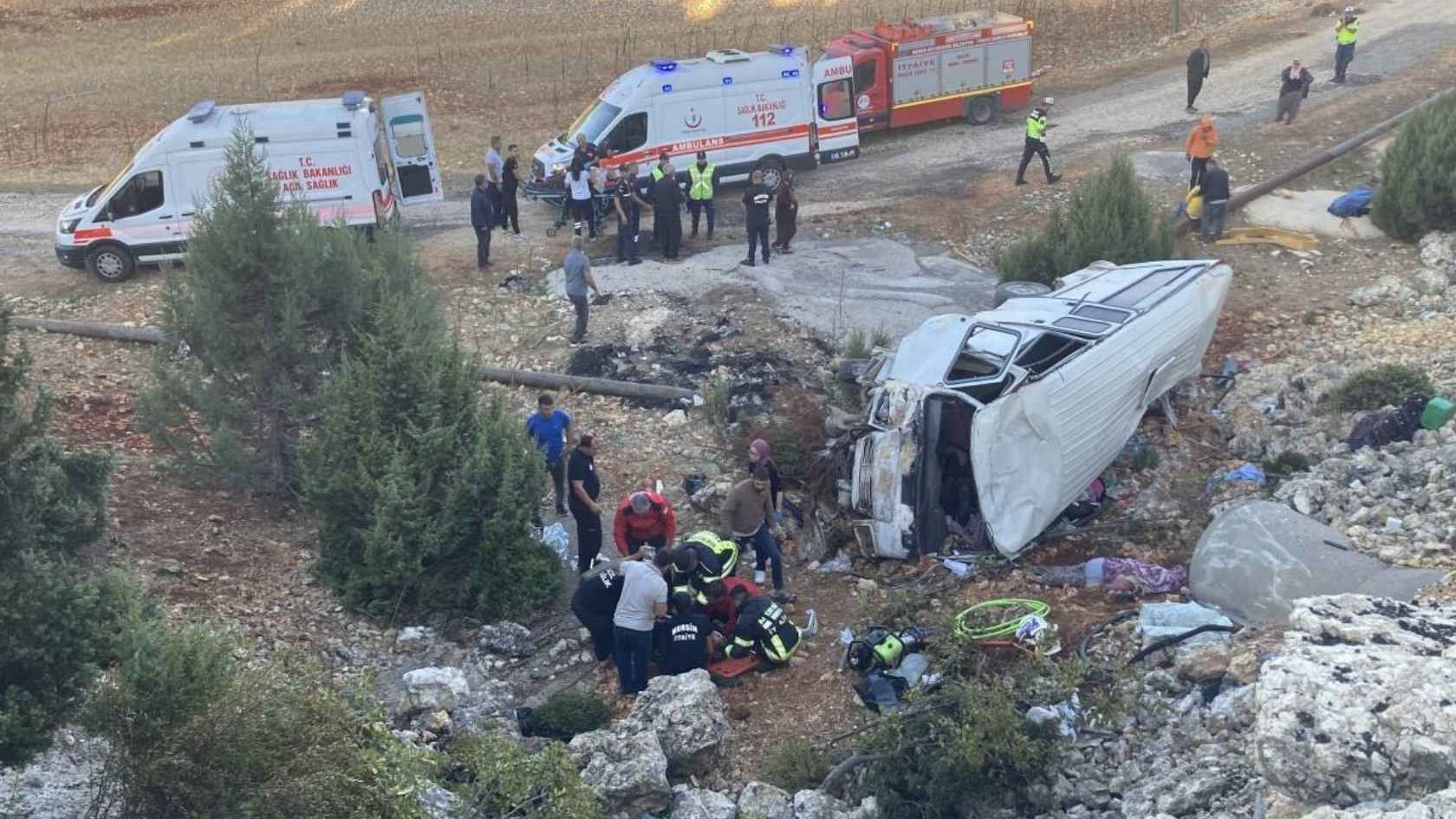 Mersin Tarım Işçileri Domates (4)
