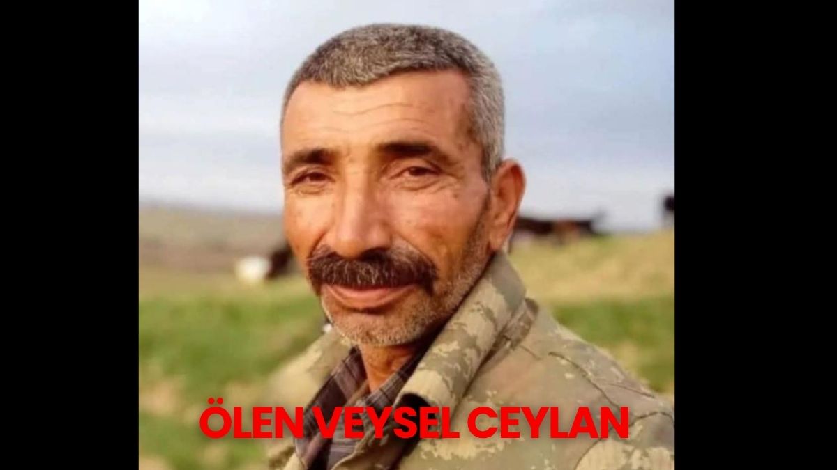 Nadi̇re Temur (20)