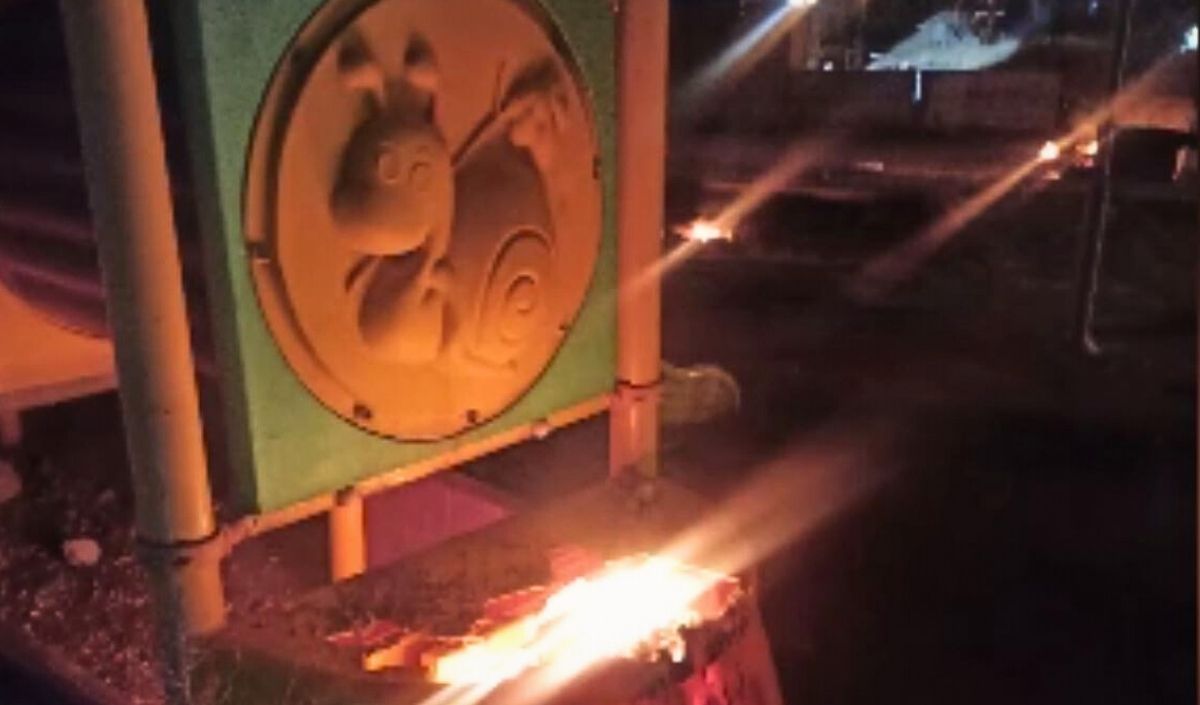 Parkı Yakarken Suçüstü (1)