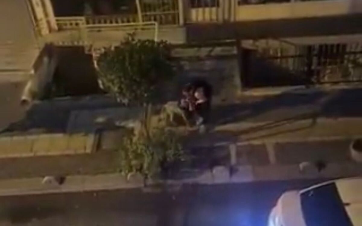 Pitbul Saldırısı (2)