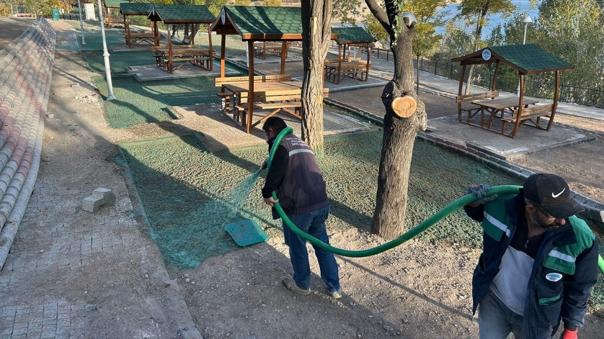 Sarımsaklı Mesire Alanı (3)