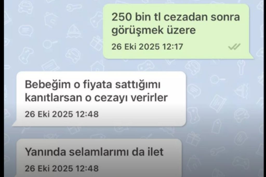 Tesla Ikinci El Ceza (3)