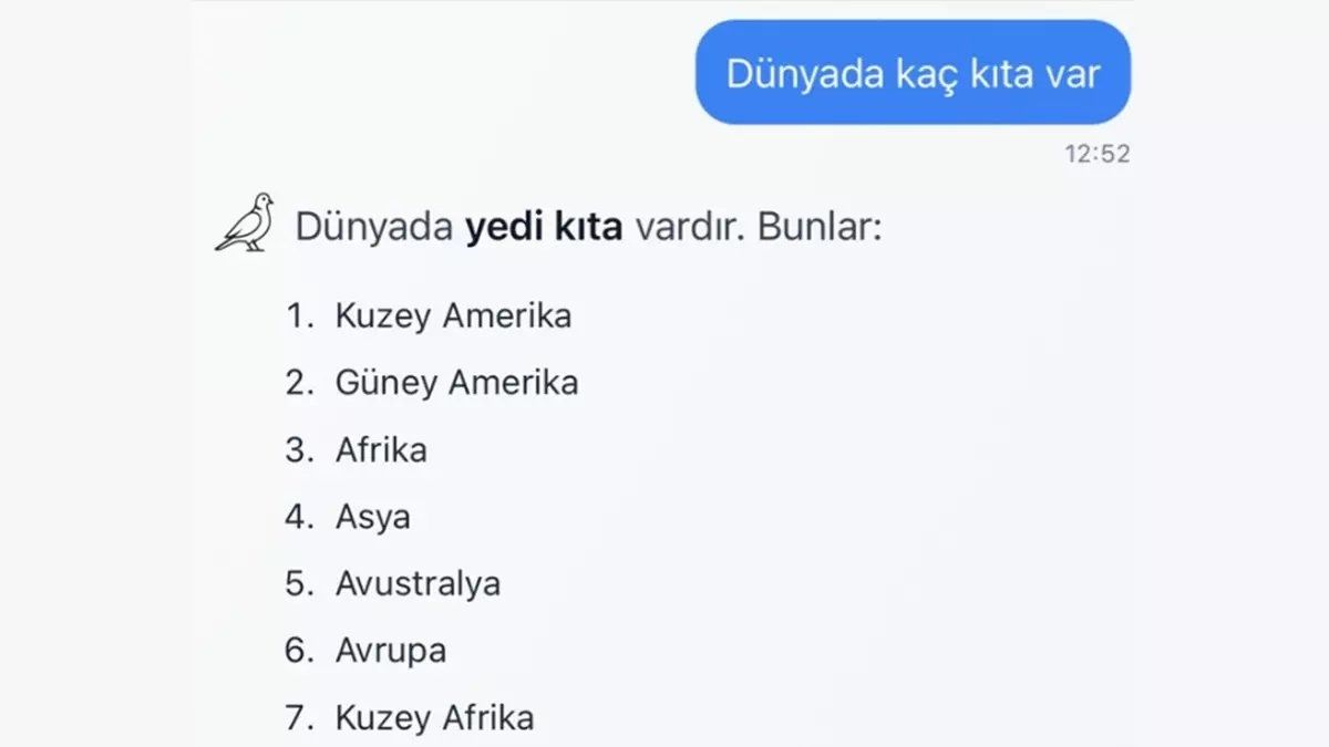 Yapay Zeka Kumru Ai̇ (3)
