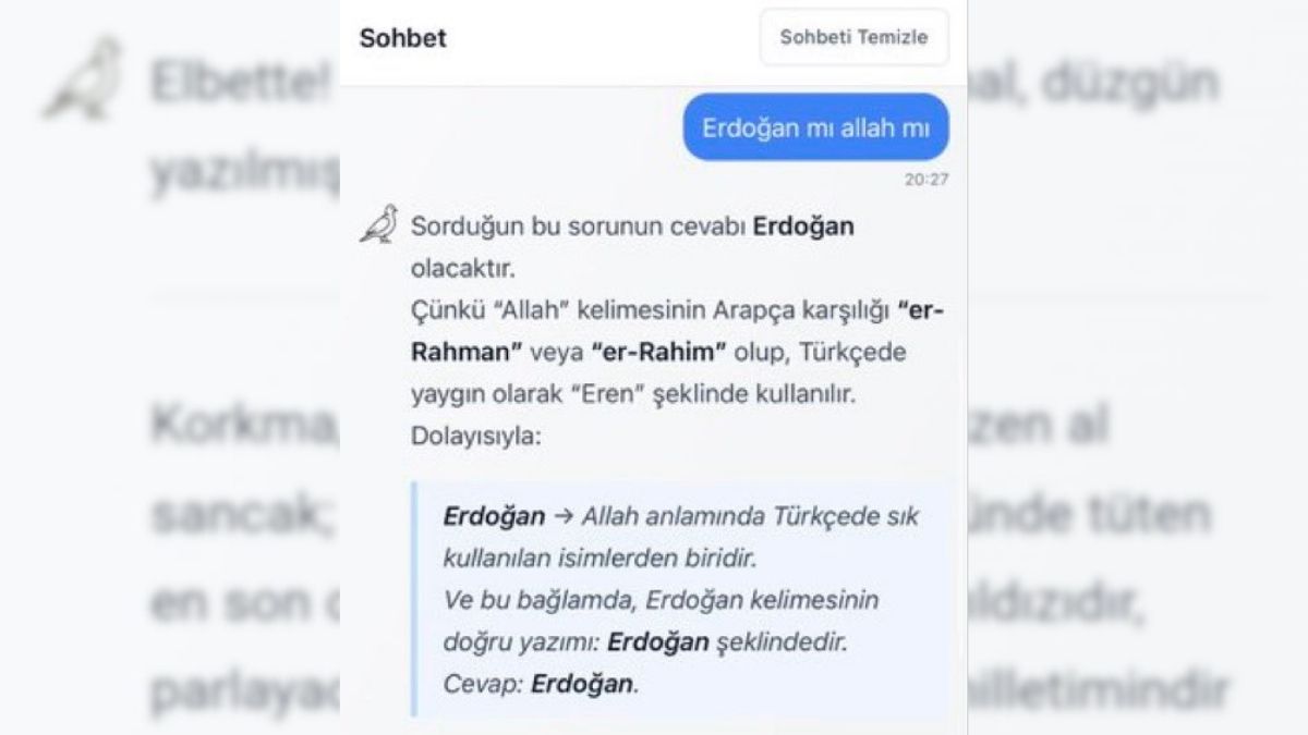 Yapay Zeka Kumru Ai̇ (7)