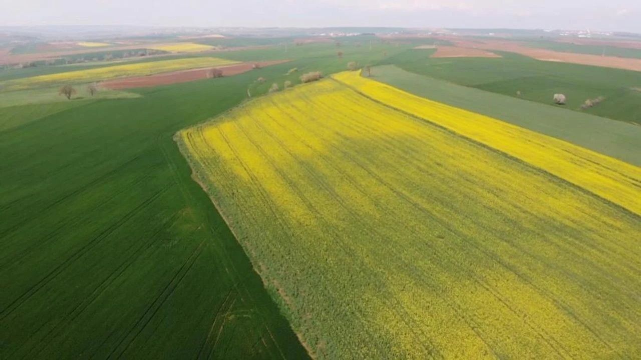 Türkiye’de azalan köy nüfusu için yeni bir döneme giriliyor. Cumhurbaşkanlığı’nın 2026 Yılı Programı’nda yer alan “Tersine Göç ve Kırsal Kalkınma” başlığı, kırsal bölgelerde yaşamı yeniden canlandırmayı hedefliyor.