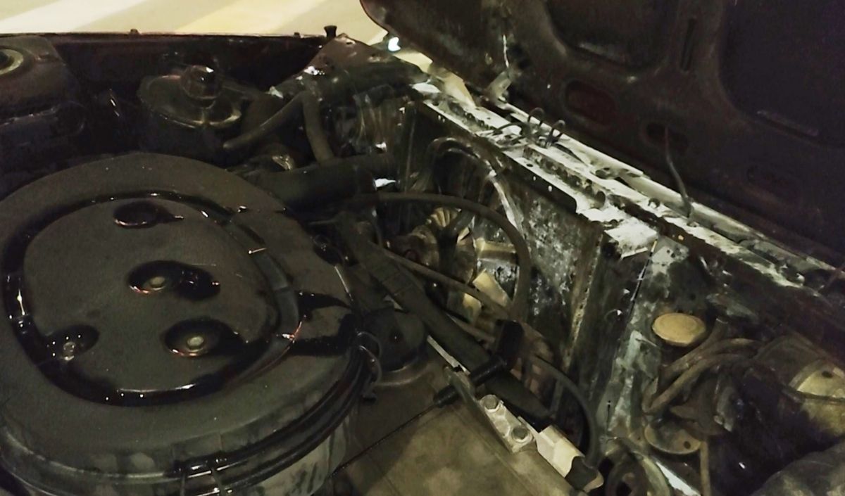 500 Ve 1000 Tl’lik Banknotlar Geliyor Mu (9)