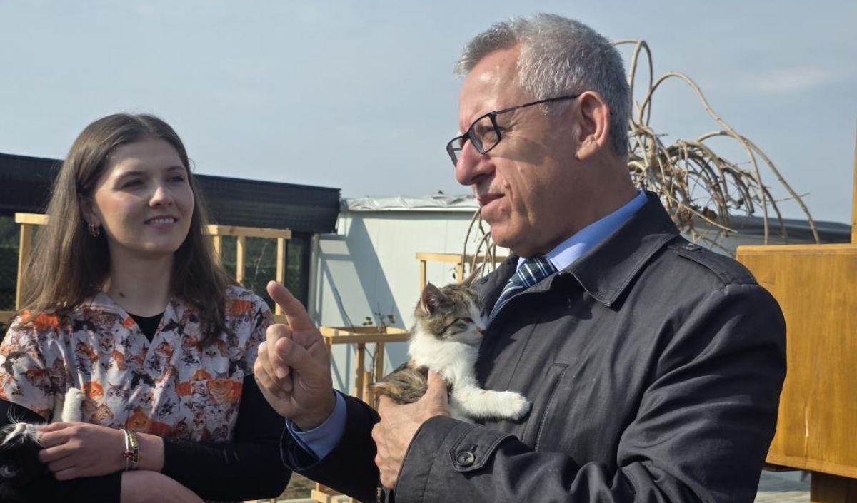 Başkan Arslan Kedilerle Birlikte Çalışıyor