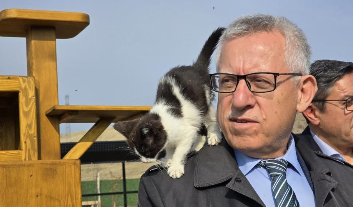 Başkan Arslan Kedilerle Çalışıyor (2)