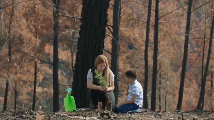 Cumhurbaşkanı Yumaklı Tarım Ağaçlandırma 11 Kasım Yeşil Vatan (5)