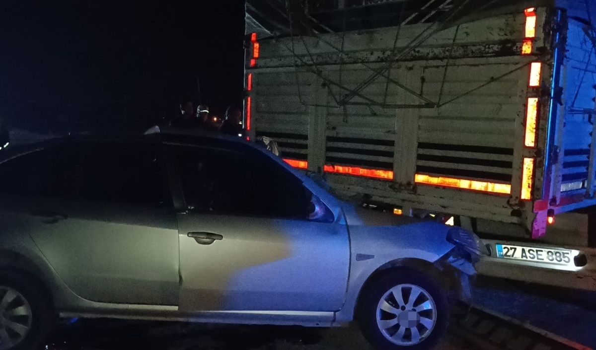 Dana'da Kamyona Çarpan Otomobildeki Iki Kişi Yaralandı (2)