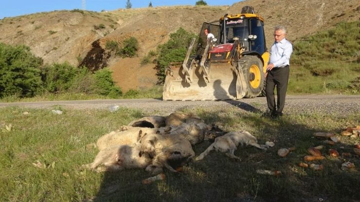 Deniz Altıntaş Yozgat (4)