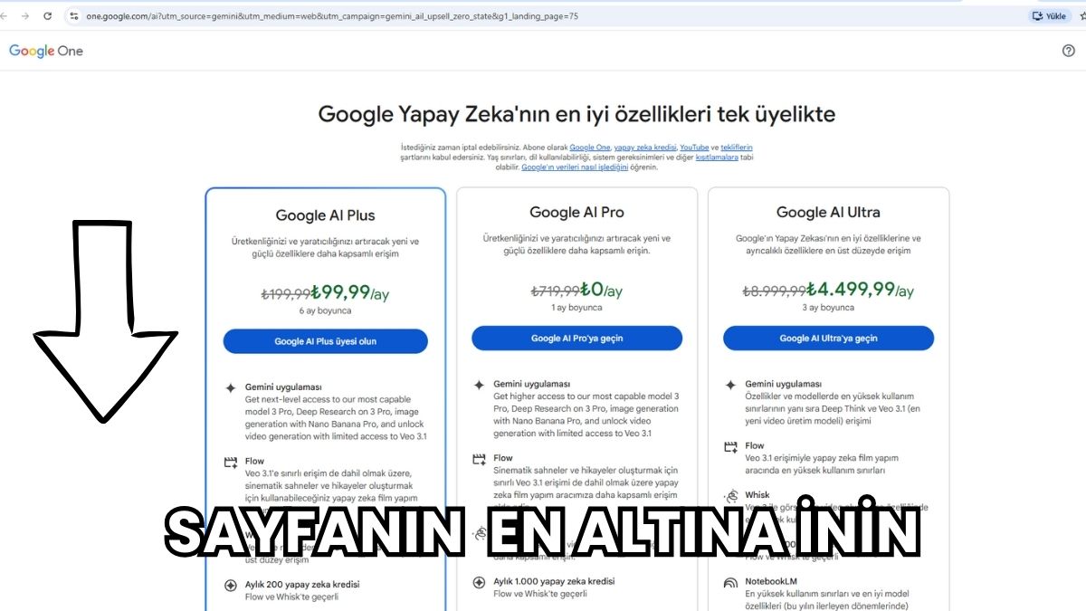 Karşınıza farklı paket seçenekleri çıkacak. Bu sayfanın en alt kısmına inin.