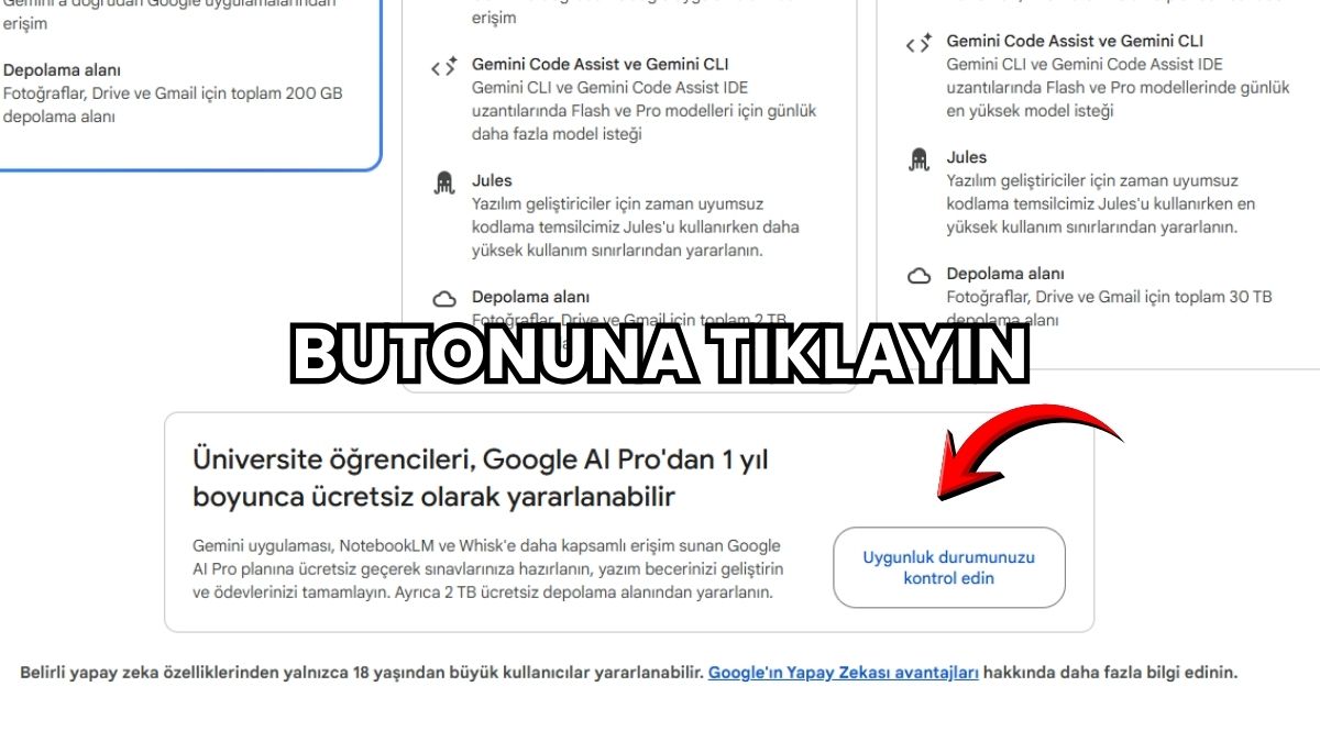 Sayfanın en alt kısmında "Uygunluk durumunuzu kontrol edin" butonuna tıklayın.