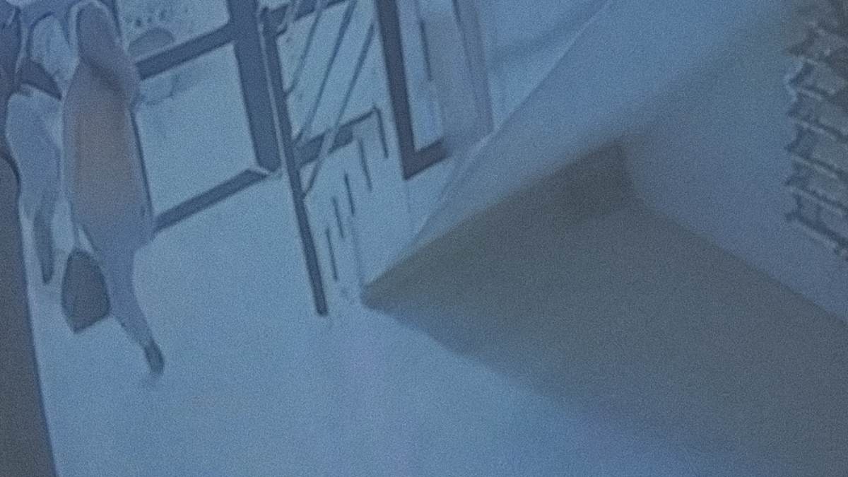 Kahramanmaraş’ta Şok Eden Soygun Daireye Anahtarla Girdiler!2